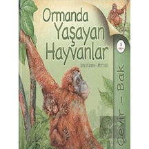 Çevir Bak Ormanda Yaşayan Hayvanlar  - Jinny Johnson  -  Nicki Palin  - Tübitak Yayınları