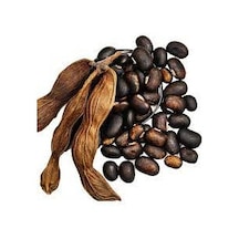 100 Adet Tohum Nadir Olive Bean Sırık Fasülye Tohumu Saksı Toprak