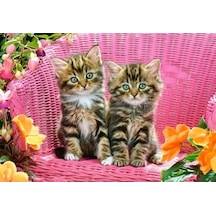 Castorland 1000 Parça Puzzle Kittens On Garden Chair