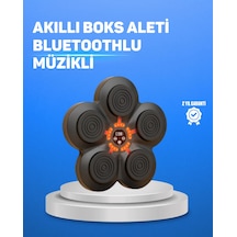 Müzikli Boks Duvar Paneli Akıllı Işık Sistemli Refleks Ve Kondisyon Aleti Kahverengi