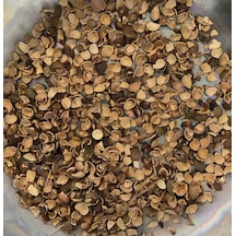 Sanita Mahlep Kabuğu 500 G