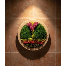 Yuvarlak Doğal Yosun Tablosu 50x50