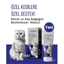 Mixtura Pharma Artrocat  Ve Kas nı Macun Kedi Maltı