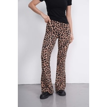 Leopar