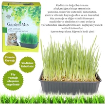 Depomıx Gardenmix Kedi Çimi