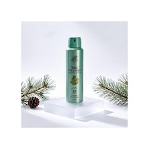 Rebul Pine Forest Erkek Sprey Deodorant 150 Ml - 48 Saat Etkili, Alkol, Tam Koruma