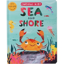 Curious Kids: Sea and Shore