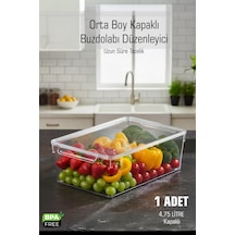 Frostybox Kapaklı Buzdolabı Ve Dolap İçi Düzenleyici Organizer 1 Adet Diğer