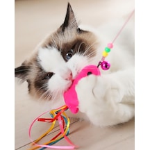Balıklı Kedi Oyun Oltası Şeffaf