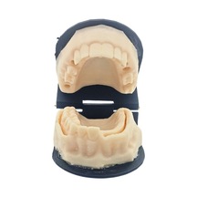 Barışhan Medikal Silikon Çene Diş Dikiş Modeli Ortodontik Alt Üst Çene Periodontal Sütür Eğitim Modeli-2
