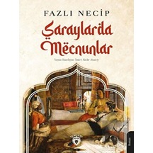 Saraylarda Mecnunlar Dorlion Yayınevi - Dorlion Yayınevi