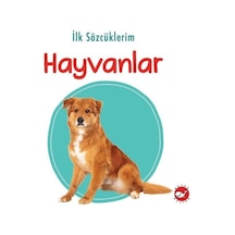 İlk Sözcüklerim - Hayvanlar- Beyaz Balina Yayınları