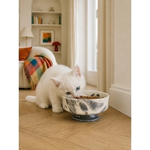 Mama Kabı Kedi Ve Köpek 1 Adet Doğal Mama Veya Su Kabı Gri Marble