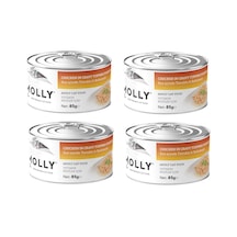 Molly Tavuklu Ve Balkabaklı Sos İçinde Yetişkin Kedi Konservesi 85 Gr. X 4 Adet