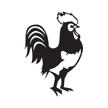 Folyo Sticker Horoz 30cm Uzunluk Siyah