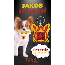 Petjoo 8.Jakob Kırmızı-Sarı Qr'lı Köpek Künyesi