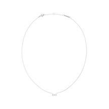 Daniel Wellington Dw00401640 Kadın Kolye Diğer