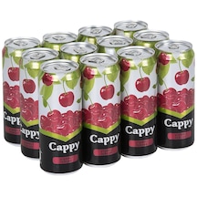 Cappy Vişneli İçecek 330 Ml X 12 Adet