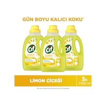 3'lü Set