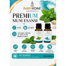 Premium Mum Esansı 5 Cc 2'li Set - Nane, Okyanus - Soya Wax, Parafin, Jel Wax Ve Bal Mumu Uyumlu Bkfab2nnok5 Karışık