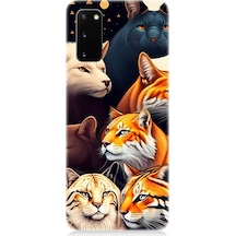 Samsung Galaxy S20 Uyumlu Renki Kedi Türleri Desenli Silikon Kılıf