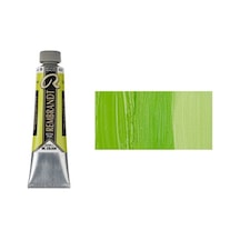 Rembrandt 40 ML Yağlı Boya Seri:1 No:629 Green Earth