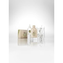Alter Ego Scalpego Energizing Shampoo 300 Ml Şampuan