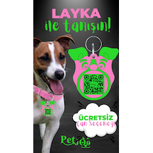 Petjoo 22.Layka Yeşil-Pembe Qr'lı Köpek Künyesi