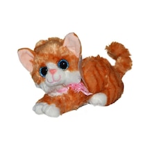 Peluş Sesli Kedi Çok Renkli