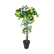 Yapay Limon Ağacı 130Cm 8 Limonlu Doğal Görünümlü Siyah Plastik S