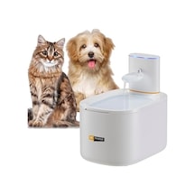 Astra Otomatik Kedi Su Şelalesi