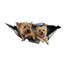 Yavru Terrier Sticker Yapıştırması 20Cm Yavru Terrier Sticker Yapıştırması 20Cm