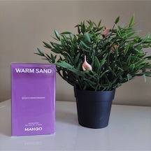 Warm Sand Edp 100 Ml Kadın Parfümü Narenciye