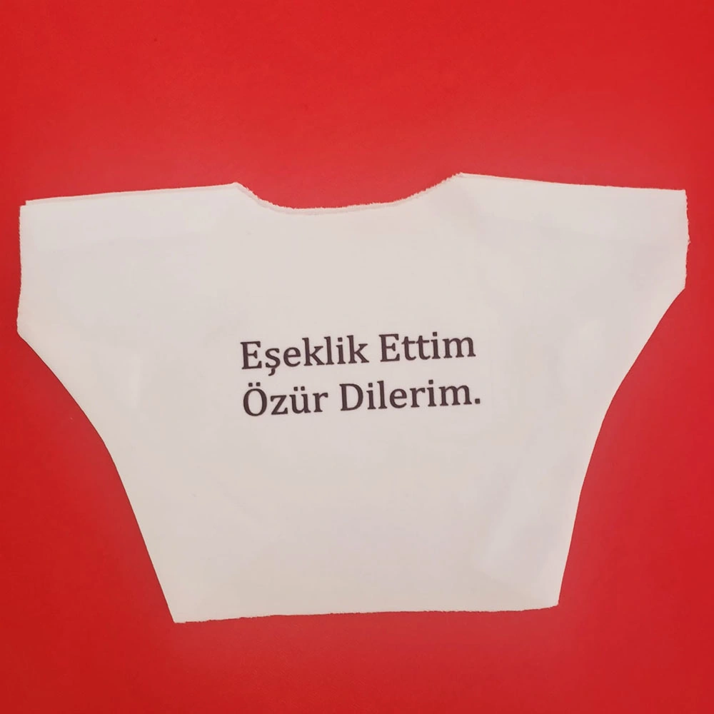 Eşeklik Ettim Yazılı Oyuncak Tişörtü Arbltgsggı1p1g65299