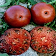Black Krim Domates Tohumu 15 Tohum 1 Paket