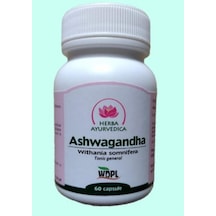 Ashwa/gandha 500 Mg 60 Kapsül Bitkisel Adaptogen Stress Ve Zihinsel Destek