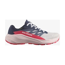Salomon Alphaglide Gore-tex Kadın Koşu Ayakkabısı Çok Renkli