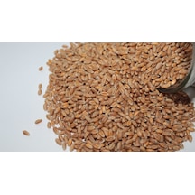 Buğday Tavuk.Güvercin Yemi 3  Kg