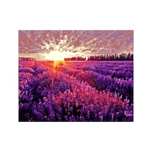 Lavanta Tarlası Ve Günbatımı Çerçevesiz 40x50 Sayılarla Boyama Hobi Seti