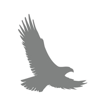 Uçan Kartal Sticker17x17 Cm Gri