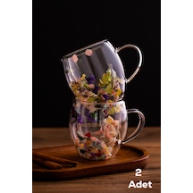 Porsima 2090 Leafy Çift Cidarlı Cam Çay Kahve Kupası Isı Yalıtımlı Kulplu Cam Bardak 2 Adet 250ml Şeffaf