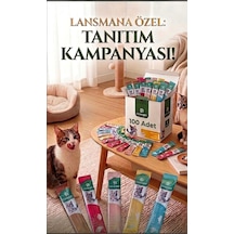 Kedi Sıvı Ödül Kolisi 100 Adetlik Karışık