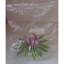 Mini Yapay Bitki Çok Renkli