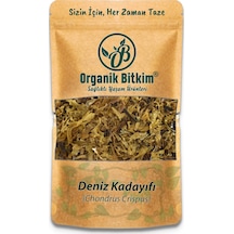 Organik Bitkim Deniz Kadayıfı Chondrus Crispus 50 Gr