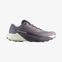 Salomon Salomon Pulsar Kadın Gri Patika Koşusu Ayakkabısı 8413 Gri
