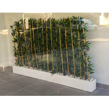 Yapay Bambu Ağacı Seti 1.50 Mt Boy Bamboo Çubuk Çiçek 2 Adet 75 Cm Ahşap Beyaz İç Mekan Saksıda Beyaz
