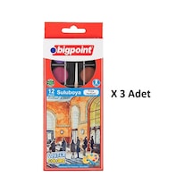 Bigpoint Suluboya 12 Renk X 3 Adet Karışık