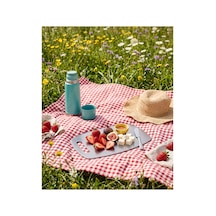 Dizör Tavola Mini Sunum Ve Servis Tahtası Tek Levha 304 Paslanmaz Çelik, Fırçalı, Tutma Yuvalı 30 X 20 Cm, 1 Adet Gümüş