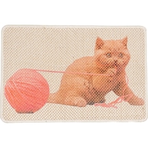 Karmat Resimli Kedi Tırmalama Paspası 40 x 60 CM