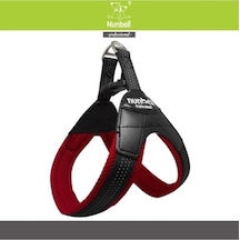 Nunbell Köpek Gögüs Tasması No:2